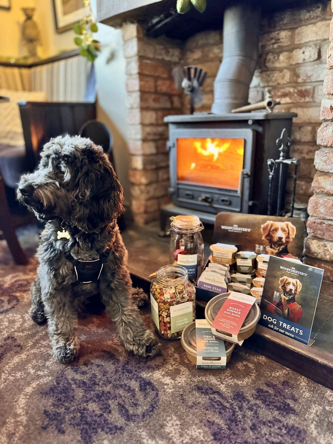 A four-legged regular by the log burner